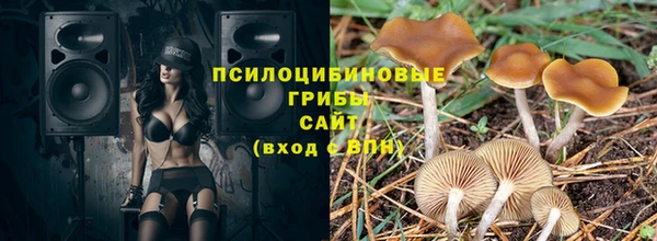 2c-b Вяземский