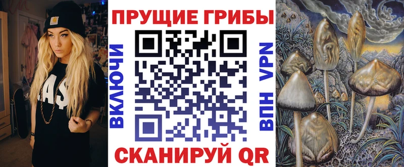 наркошоп  Черемхово  Псилоцибиновые грибы Psilocybe 